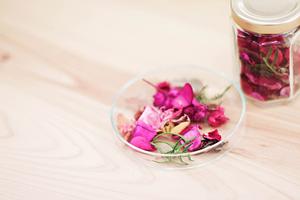 静岡・埼玉地域で利用できるTOKAIモバイルショップの魅力とサービス詳細